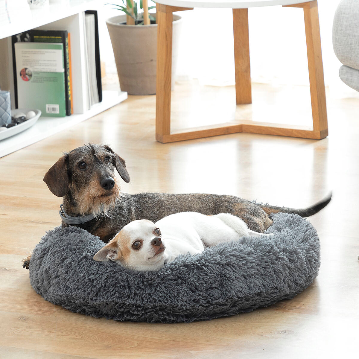 Comfort & Home